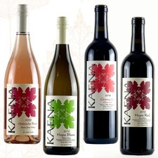 Thanksgiving Dinner Party Collection