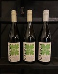 St. Patrick's Day Bundle