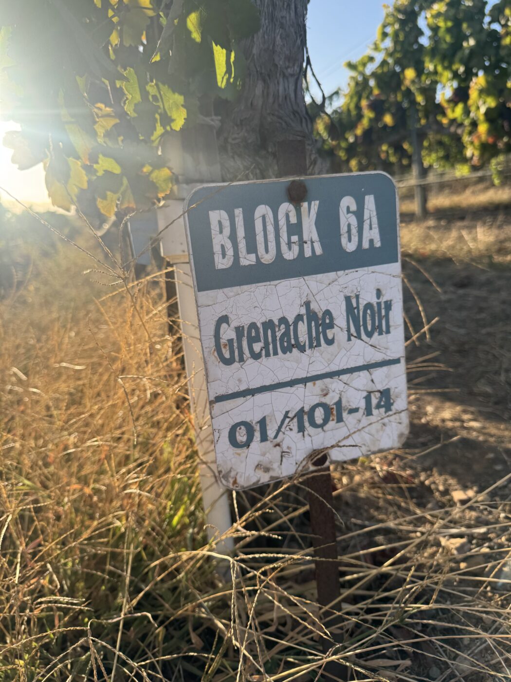 Vineyard block sign for Block 6A at Kaena Wine Co, with grapevines in the background.