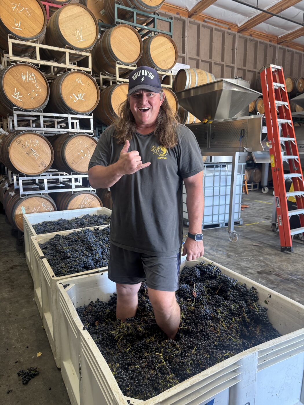 Person standing in a wine barrel fermentation tank at Kaena Wine Co, smiling and making a shaka sign.